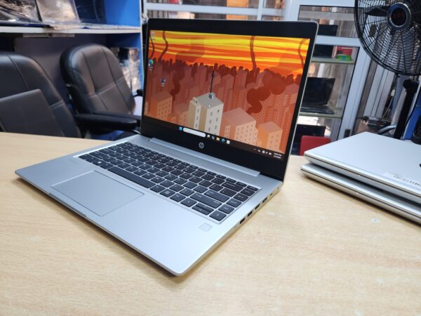 HP ProBook 445 G7 - Ryzen 5, Radeon Graphics